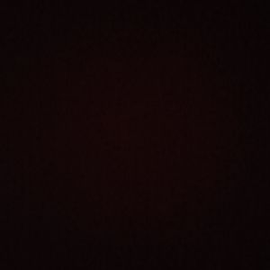 Meet your Posher, Gloria